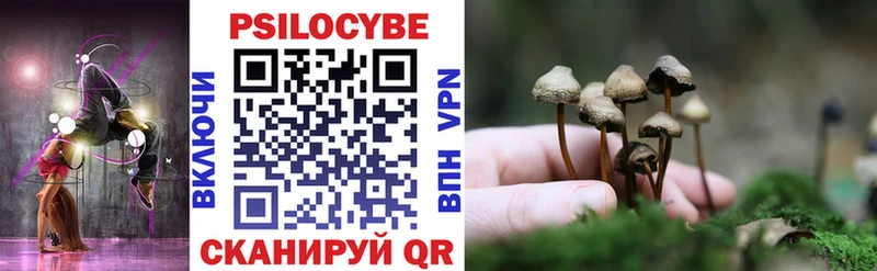 Галлюциногенные грибы Magic Shrooms где купить Дубна